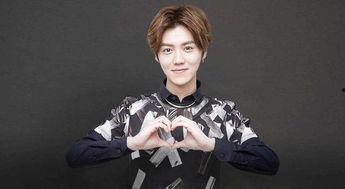 鹿晗网红爆料事件视频,揭秘娱乐圈背后真相 第3张 鹿晗网红爆料事件视频,揭秘娱乐圈背后真相 第3张